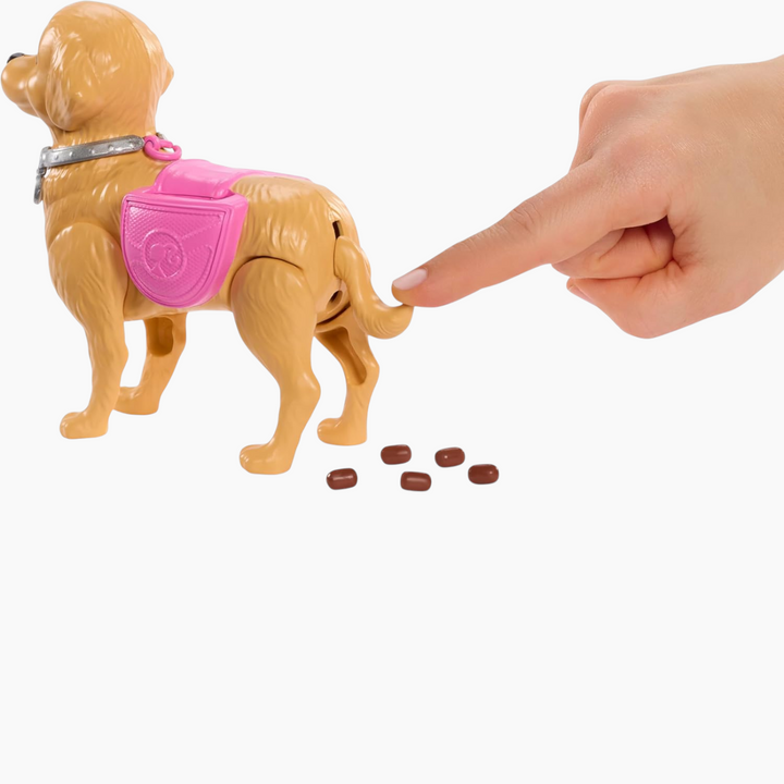 Barbie_DollWalkAndPotty_3 - HUNA