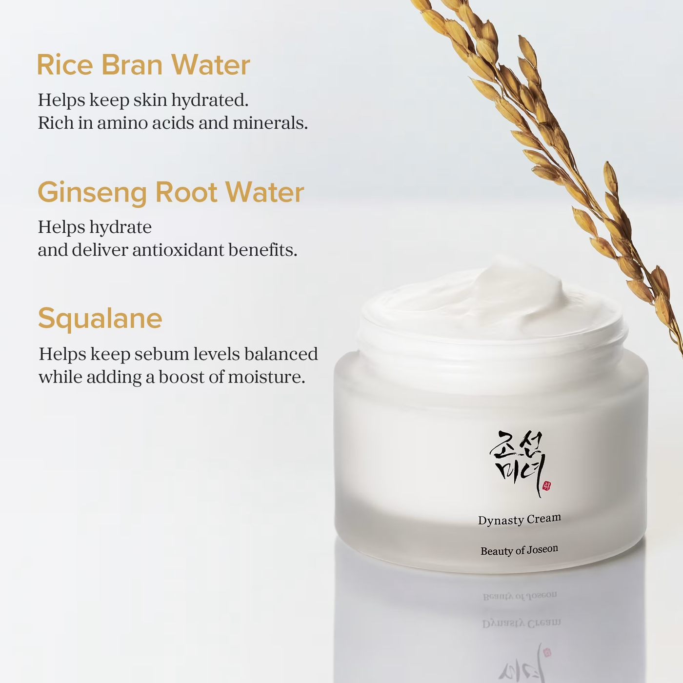Beauty of Joseon Dynasty Face Cream Beauty of Joseon Dynasty Face Cream