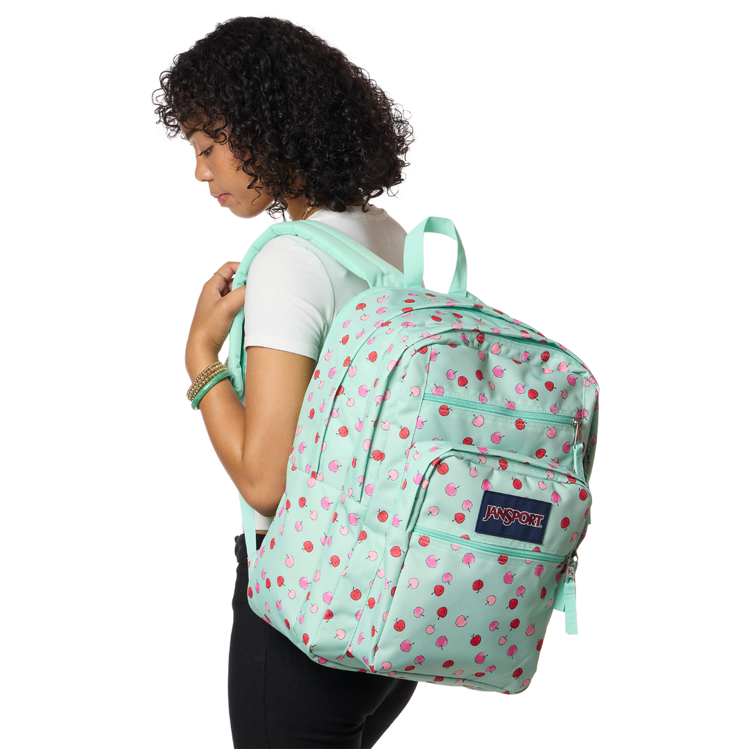 JanSport Printed Big Student Backpack