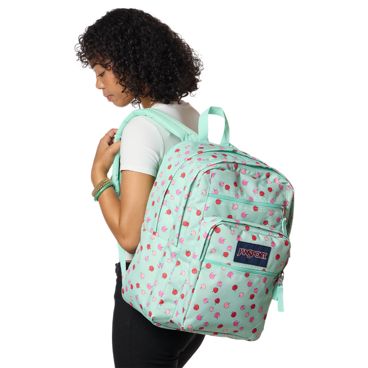 JanSport Printed Big Student Backpack