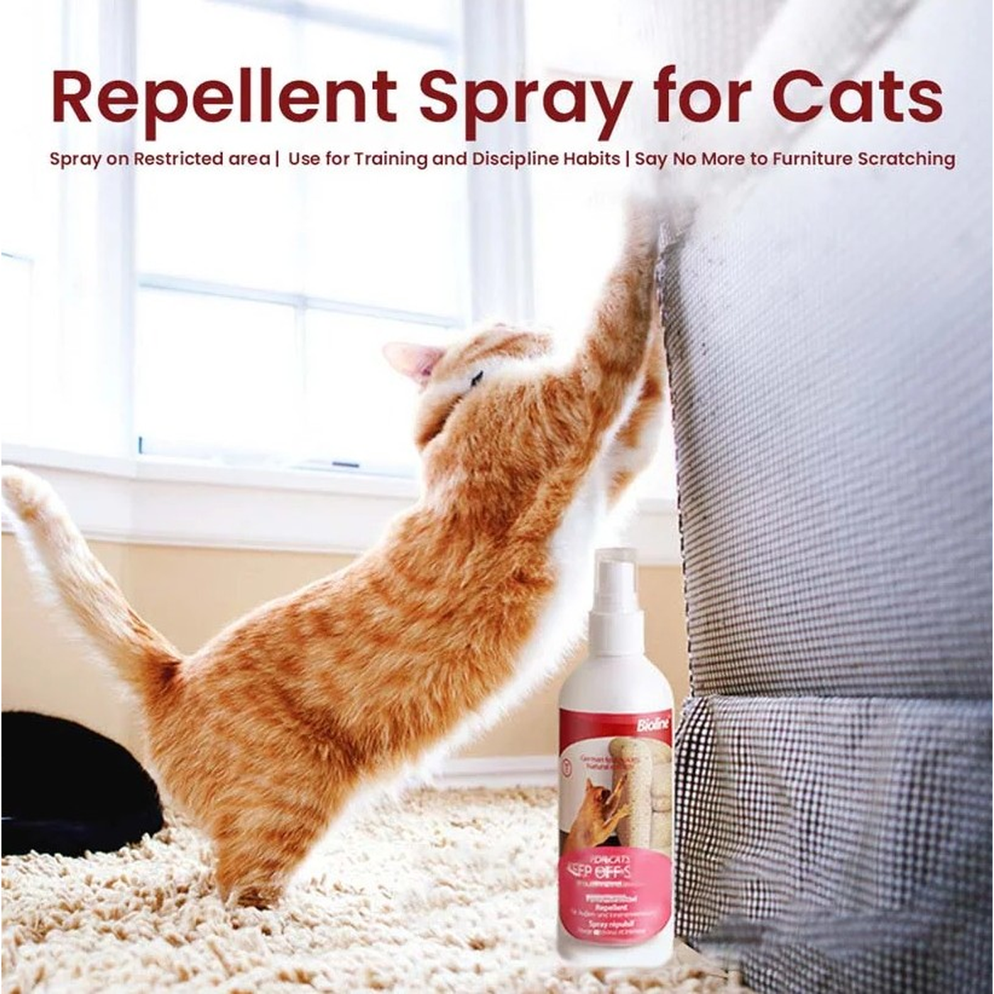 Bioline Keep Off Spray Cat Repellent Bioline Keep Off Spray Cat Repellent