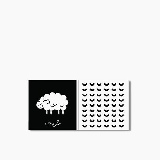 Kalila Wa Dimna White & Black Book
