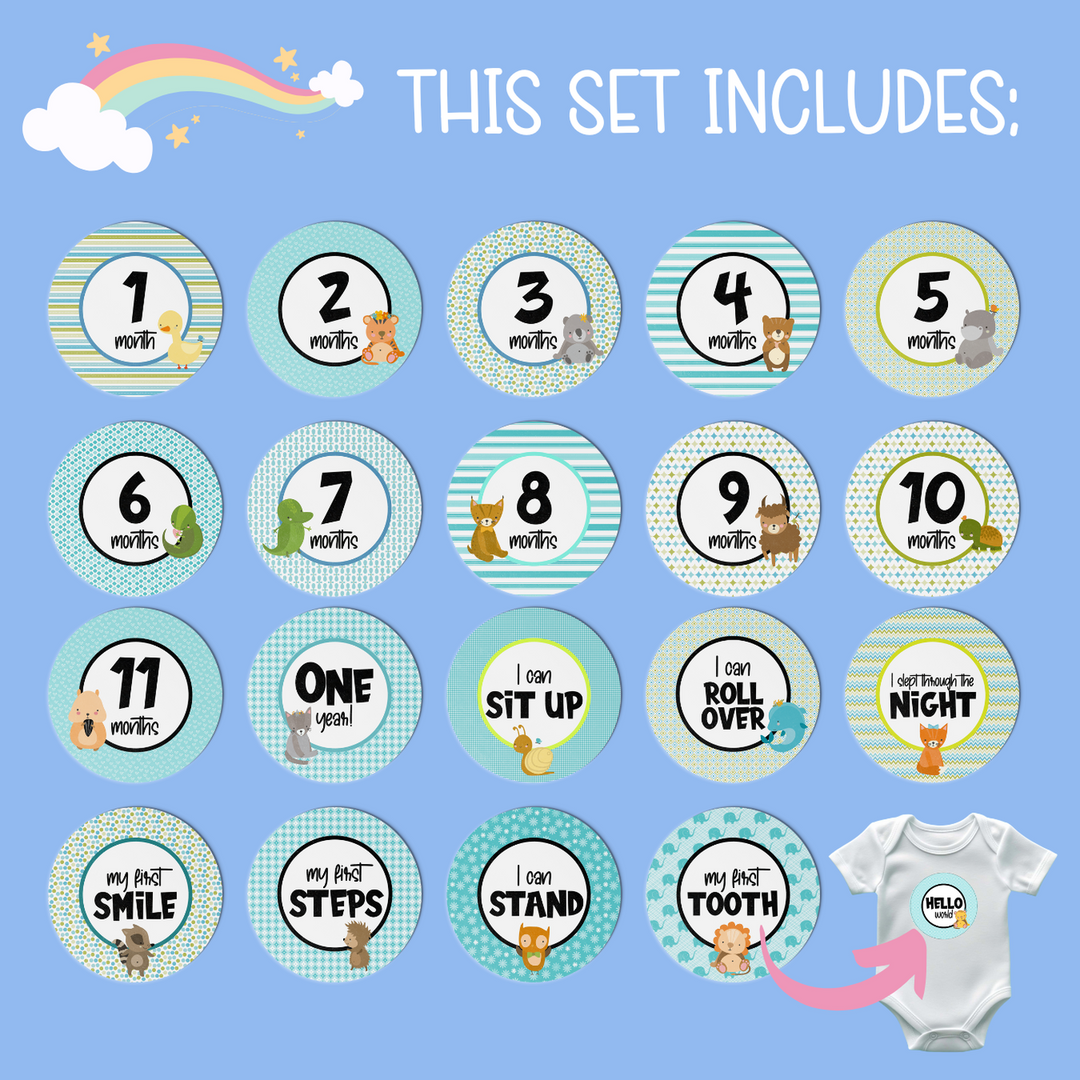 Twinkle &amp; Giraffe Baby Milestone Stickers