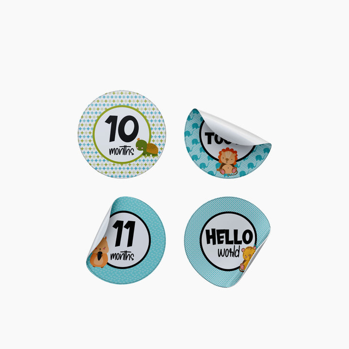 Twinkle &amp; Giraffe Baby Milestone Stickers