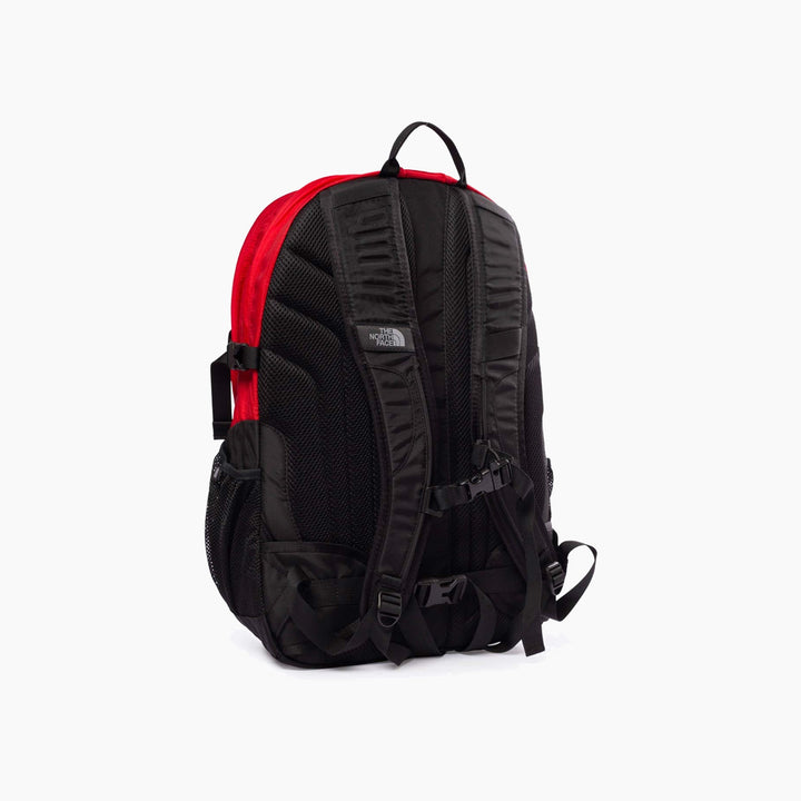 The North Face Borealis Classic Backpack