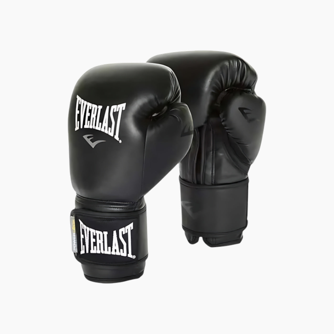 Boxing Gloves Everlast