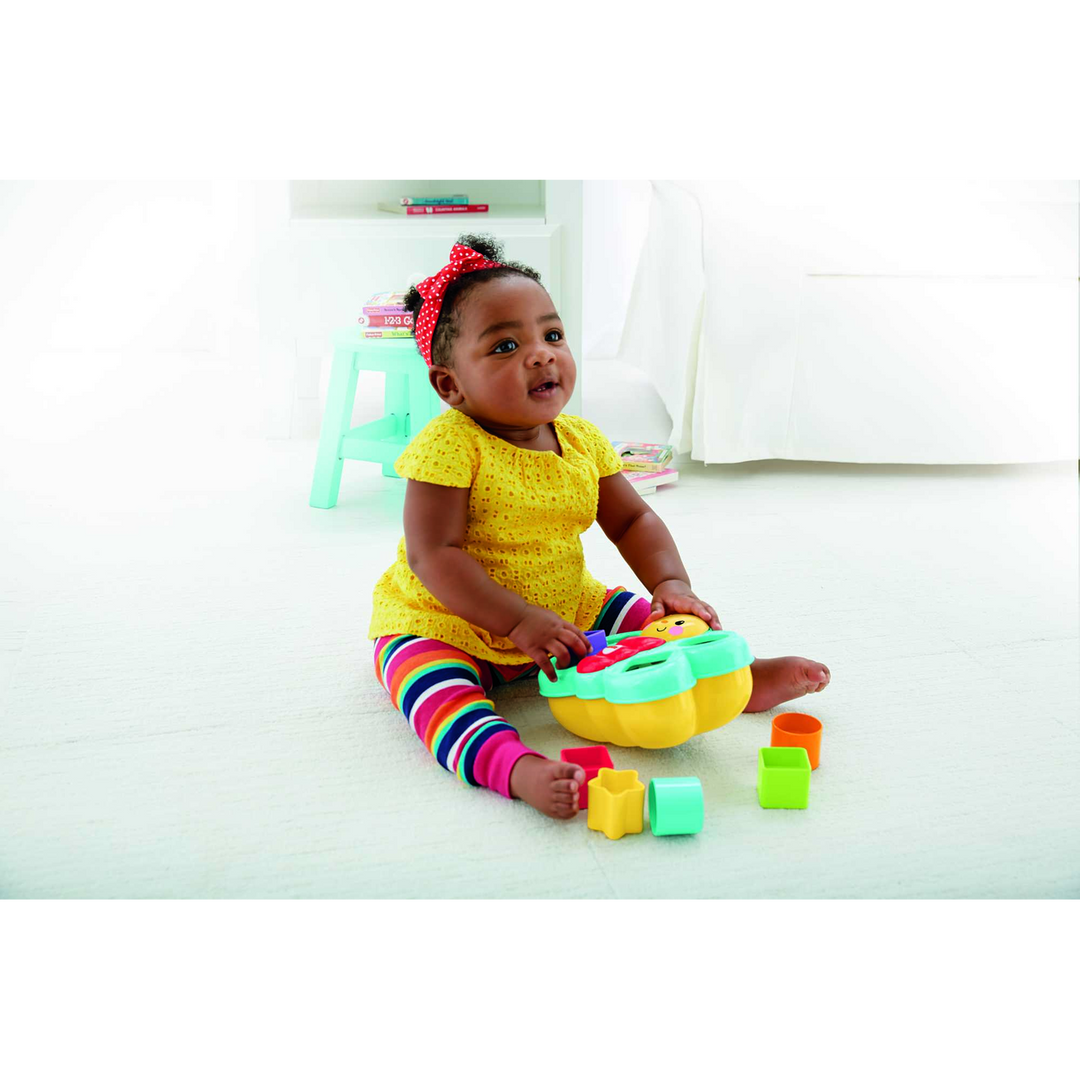 Mattel Butterfly Shape Sorter