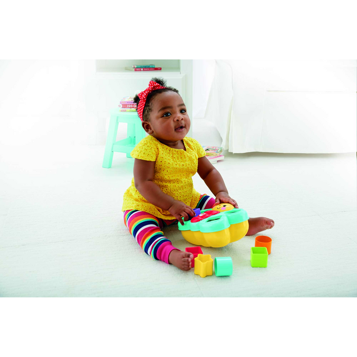 Mattel Butterfly Shape Sorter