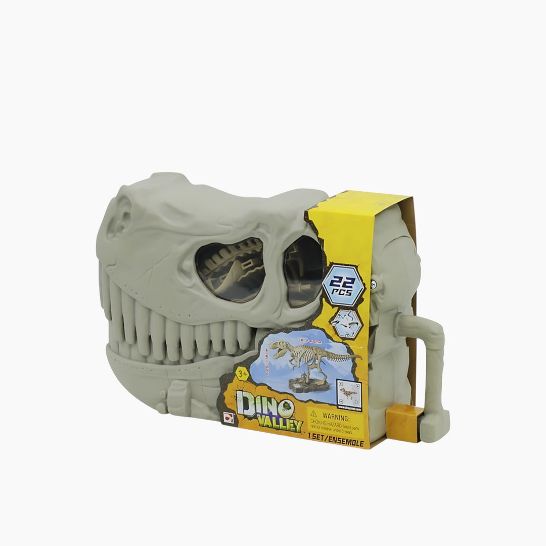 Cm Dino Valley Fossil Bucket Head