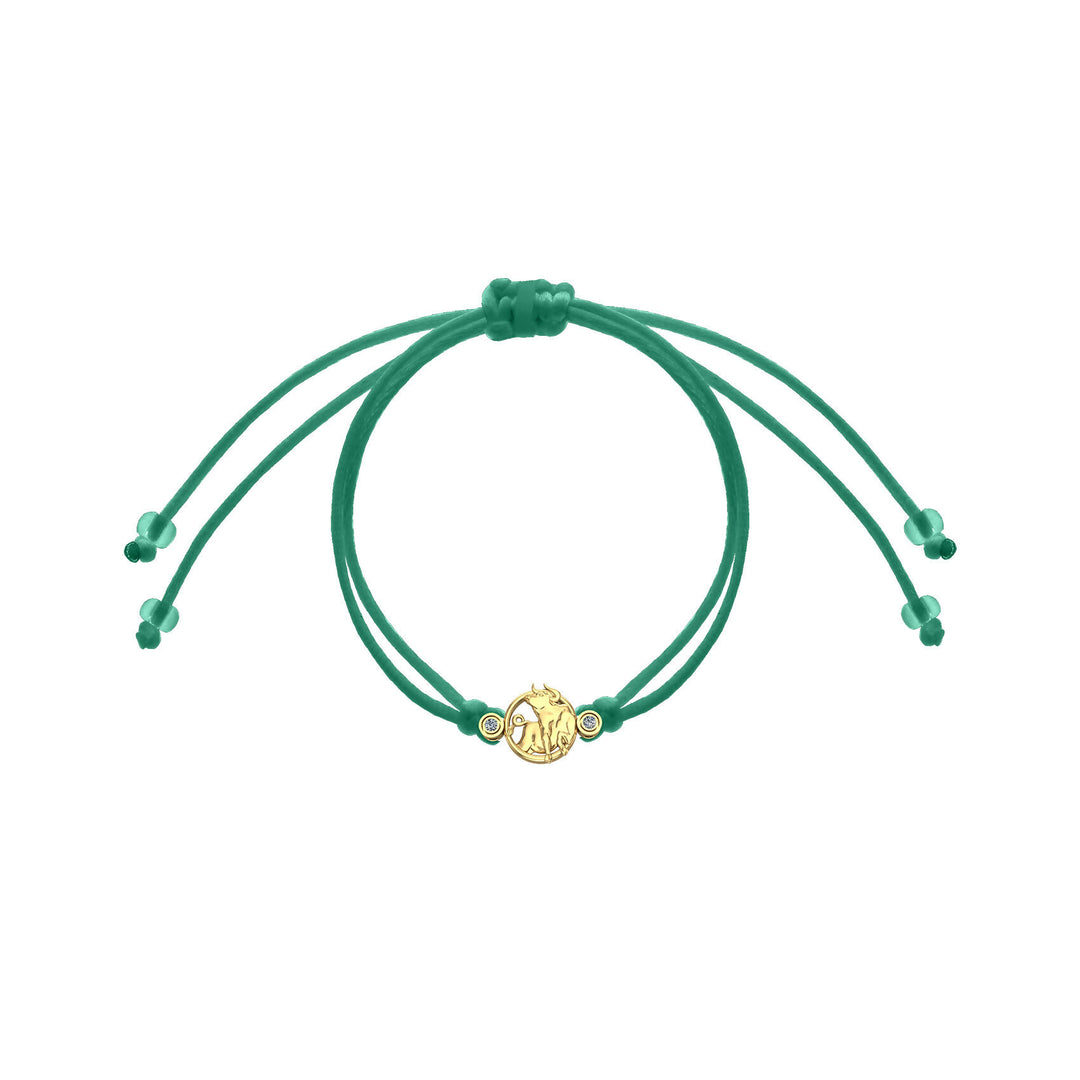 Product Image-4