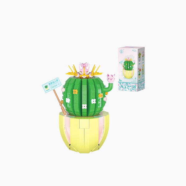 Cactus Pot