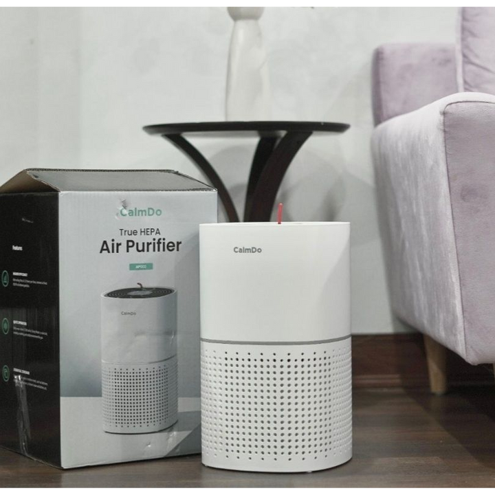 CamlDo AP002 HEPA Air Purifier