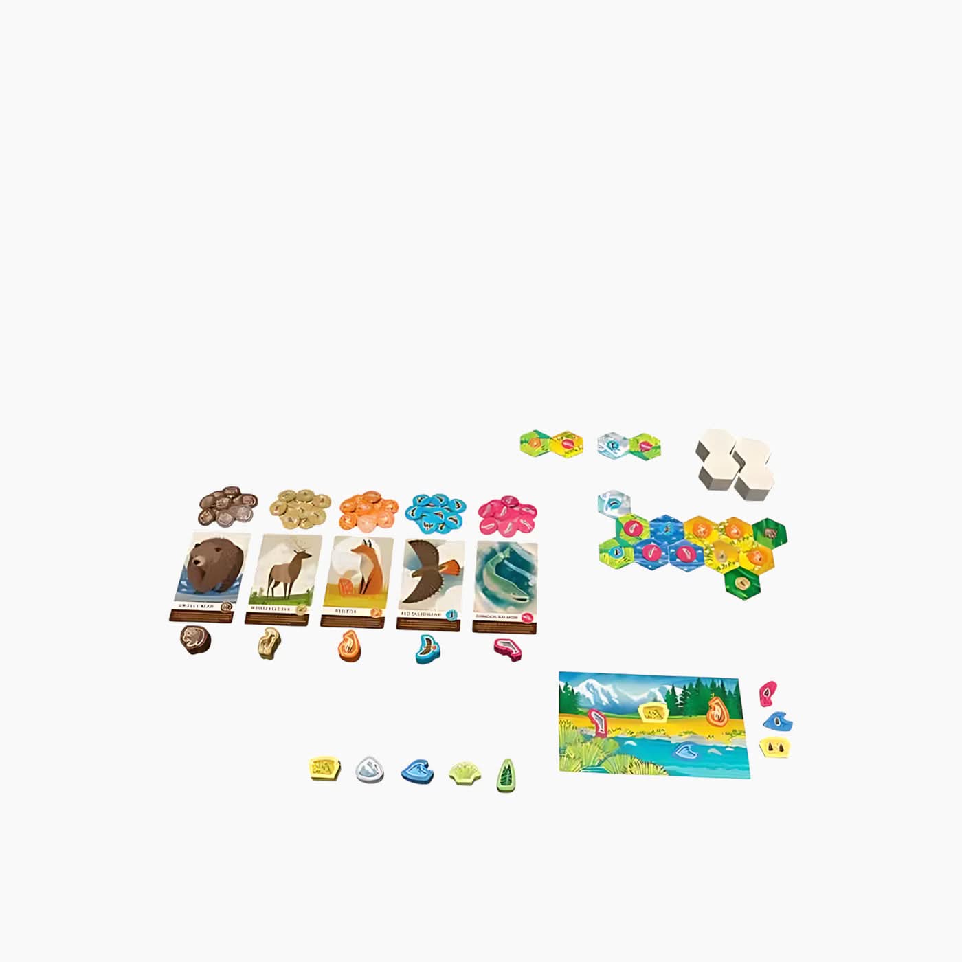 Cascadia Junior Board Game Cascadia Junior Board Game