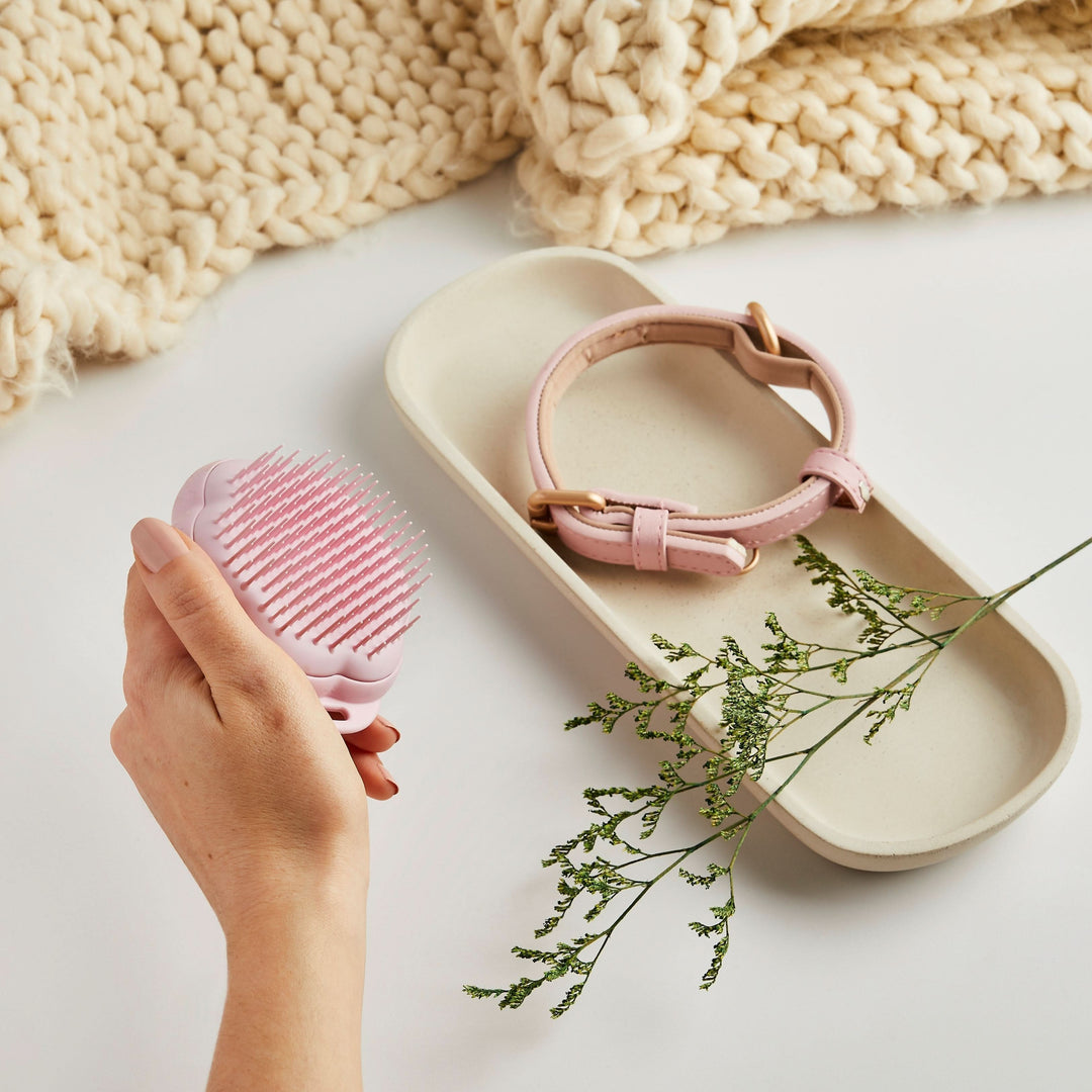 CatGroomingBrush_7_b212677e-0447-452e-bfce-4ac368afc6c0 - HUNA