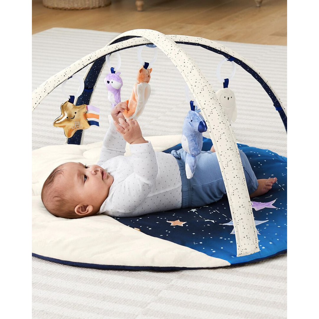 Skip Hop Celestial Dreams Activity Gym