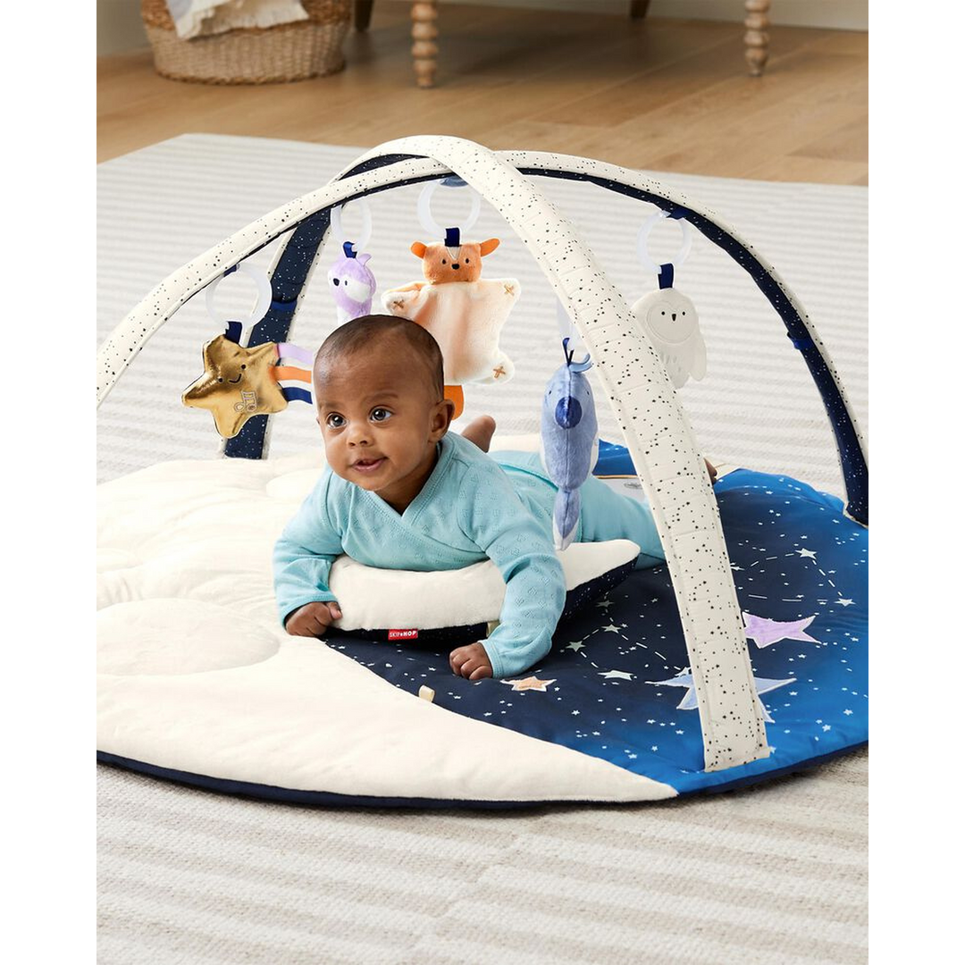 Skip Hop Celestial Dreams Activity Gym