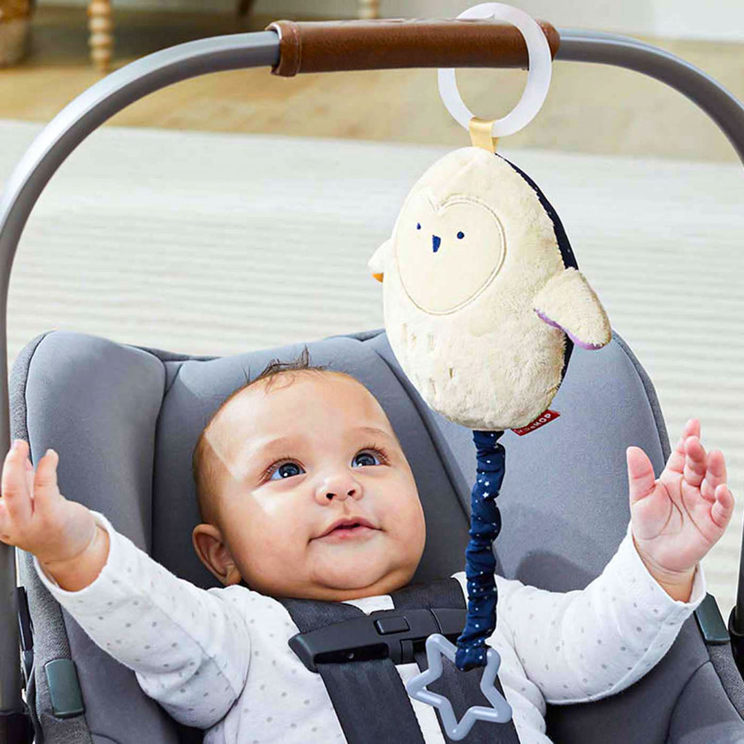 Skip Hop Jitter Toy