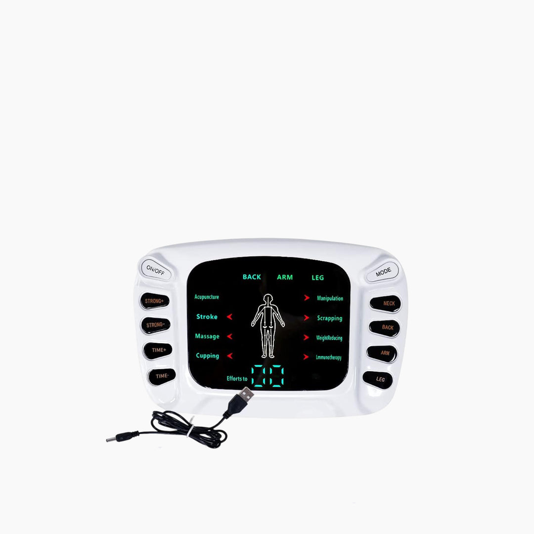 Choudhary Acupressure 10-Level Electric Pulse Massage Device