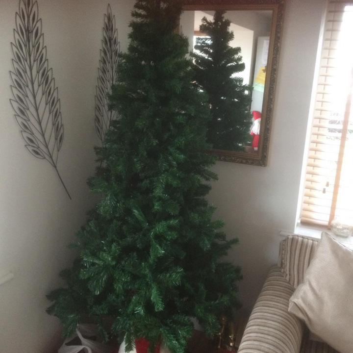 Christmas Tree Imperial Pine Tree 7 (210cm)
