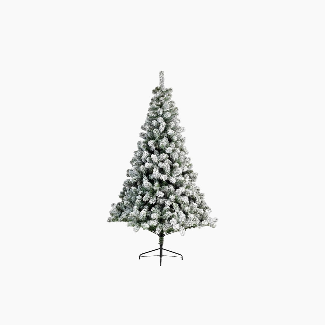 Christmas Tree Imperial Pine Tree 8 (240cm)