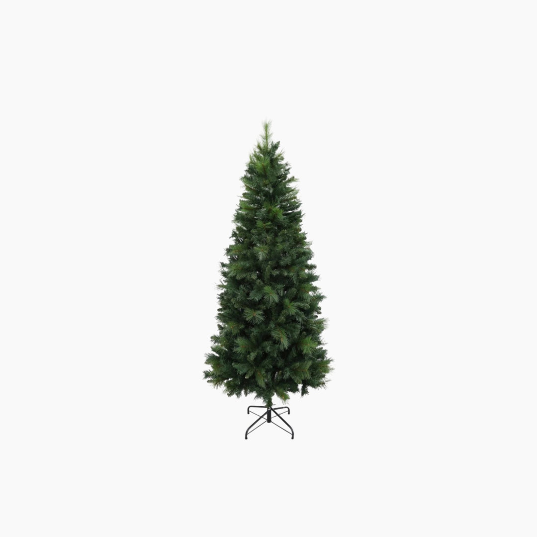Christmas Tree Norwich Pine