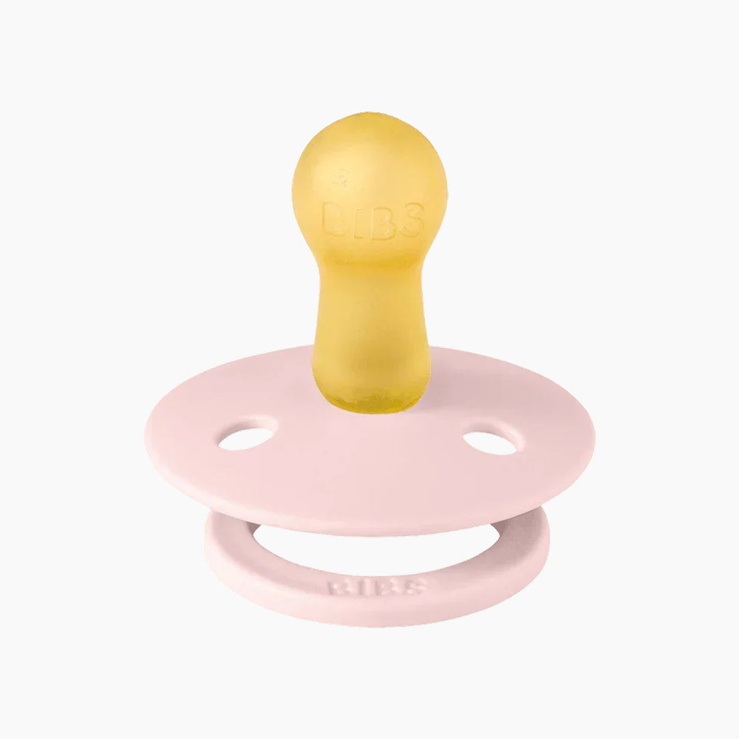 Bibs Colour Pacifiers 2 Pack - Haze &amp; Blossom