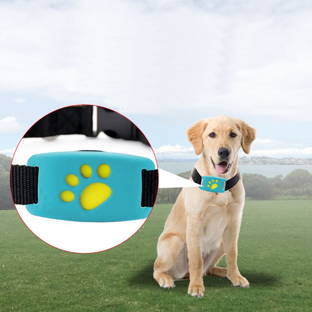 Best Buddies Compact GPS Tracker
