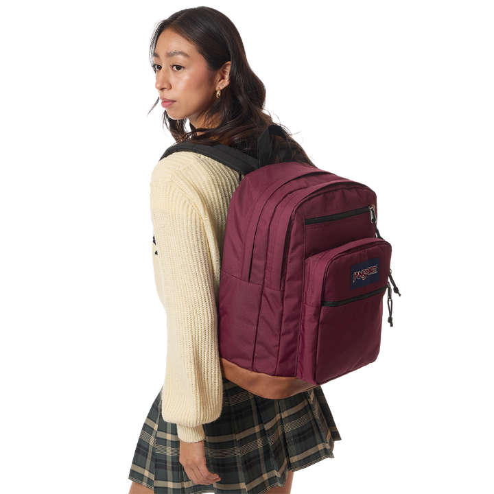 JanSport Dark Colors Cool Student Backpack