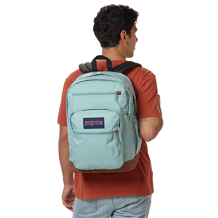 JanSport Light Colors Cool Student Backpack