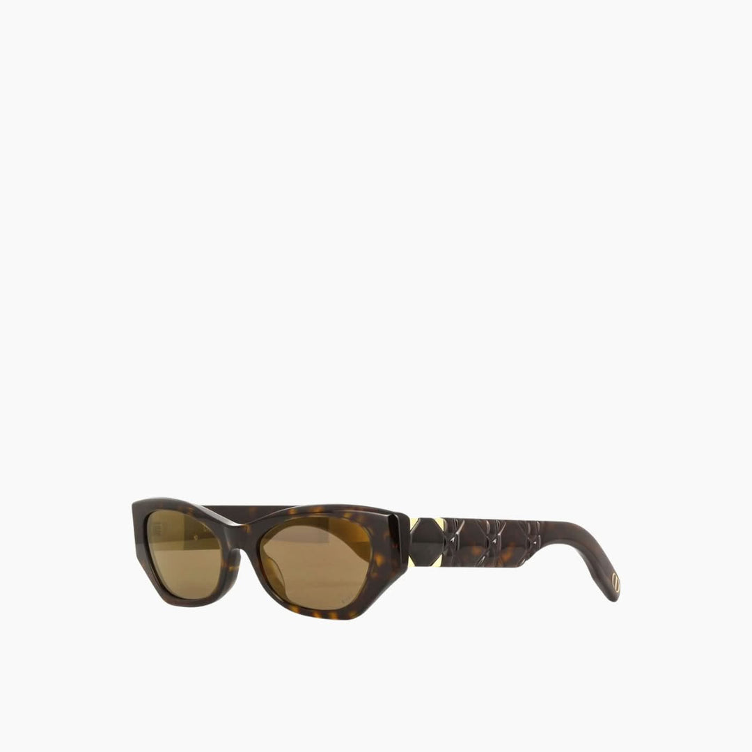 Dior Feminine Oversized Sunglasses