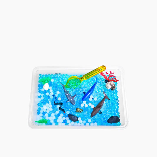 Jumbo Ocean Orbeez Kit