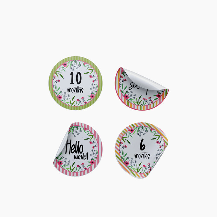 Twinkle &amp; Giraffe Baby Milestone Stickers