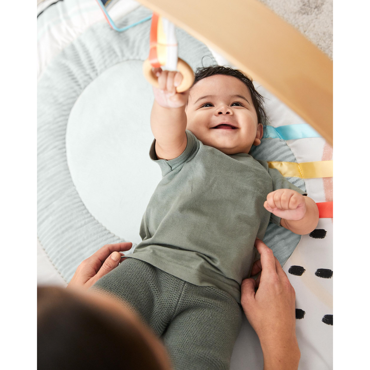 Skip Hop Discoverosity Montessori-Inspired Play Gym