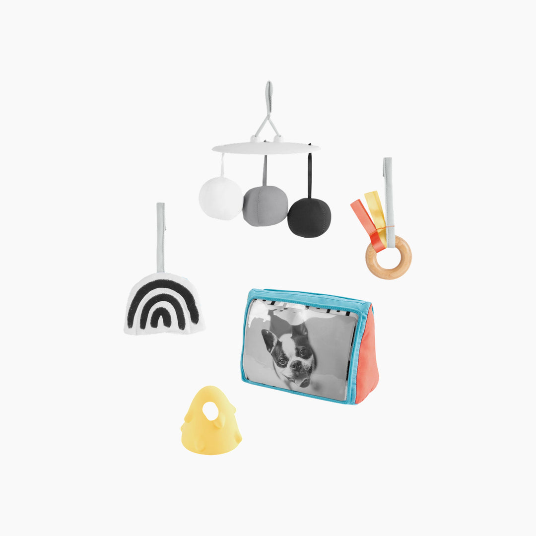 Skip Hop Discoverosity Montessori-Inspired Play Gym