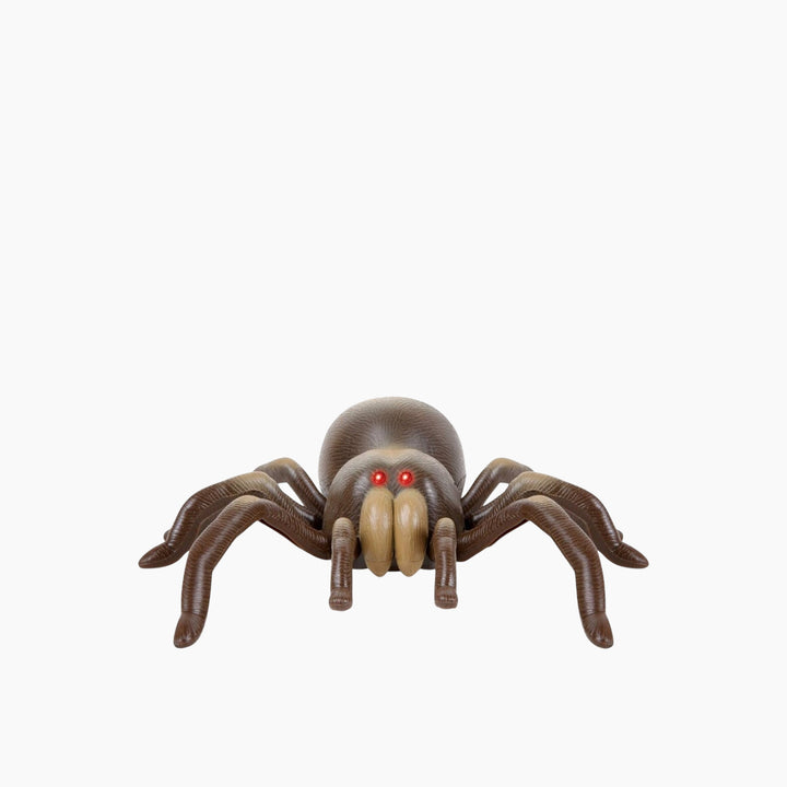 Discovery Rc Tarantula