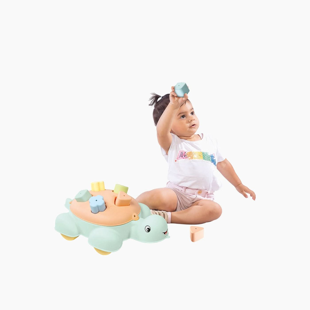 Dolu Turtle Shape Sorter Toy