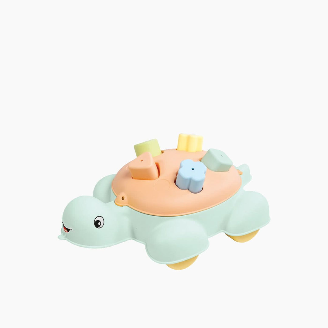 Dolu Turtle Shape Sorter Toy