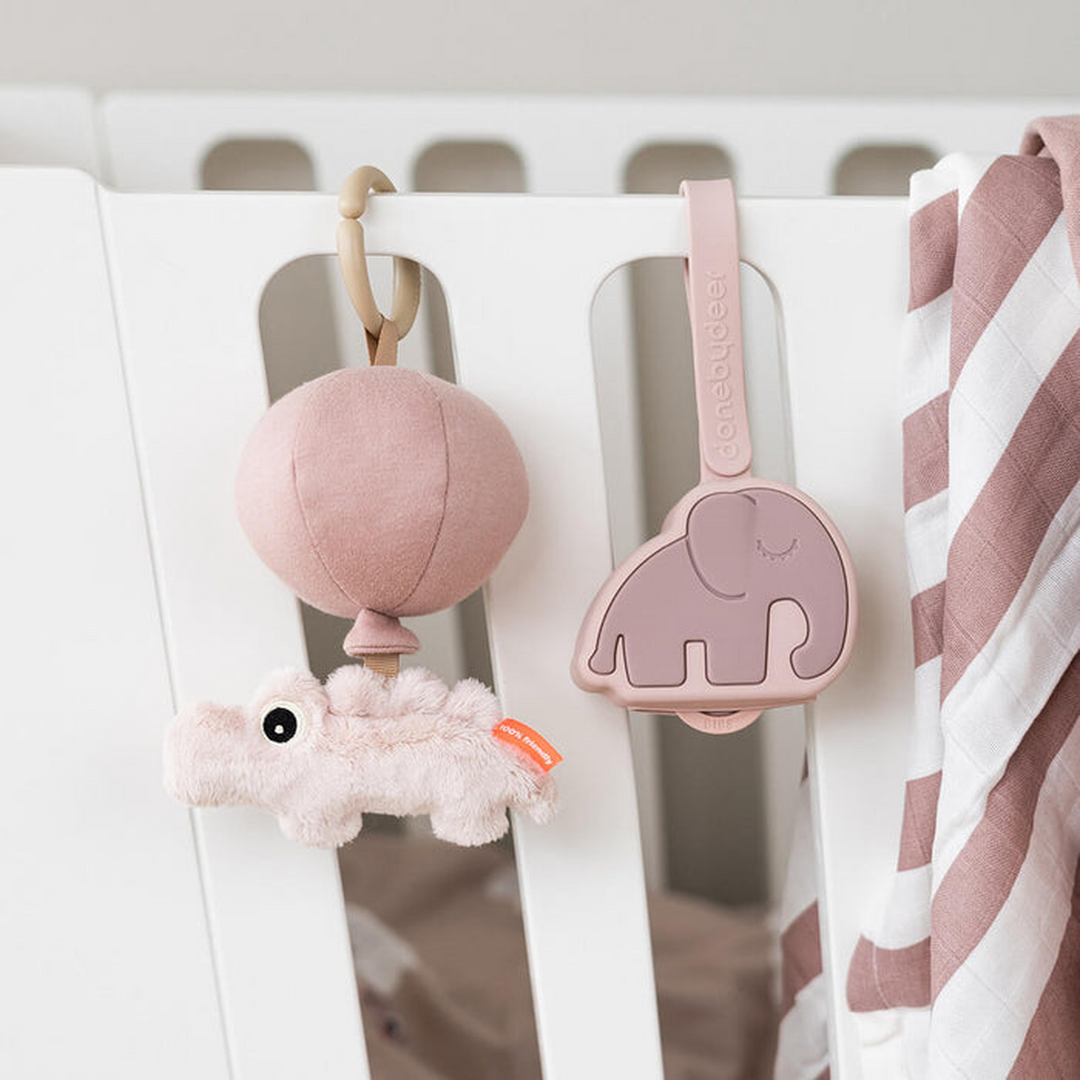 Done By Deer Silicone Pacifier Pouch Powder