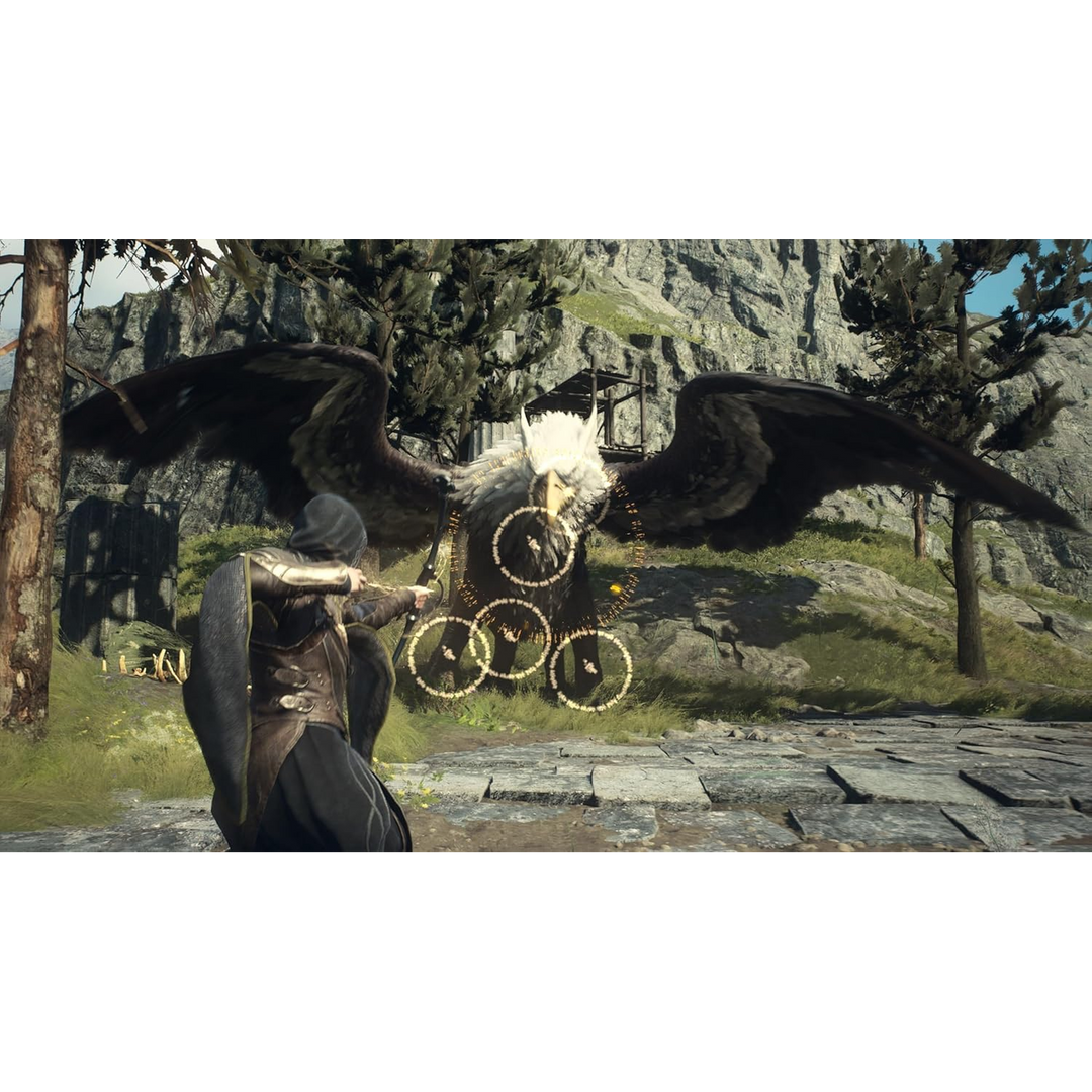 PlayStation 5 Dragons Dogma 2 Game