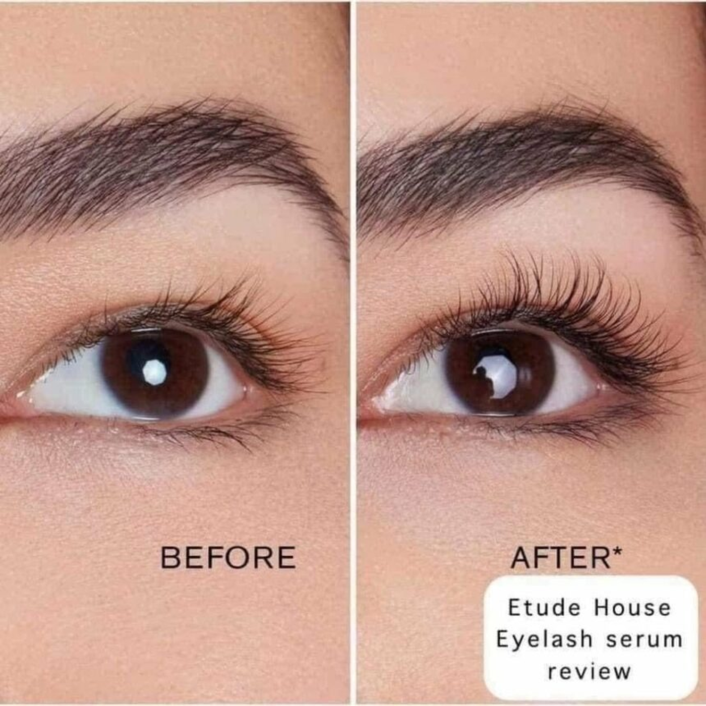 ETUDE My Lash Serum ETUDE My Lash Serum