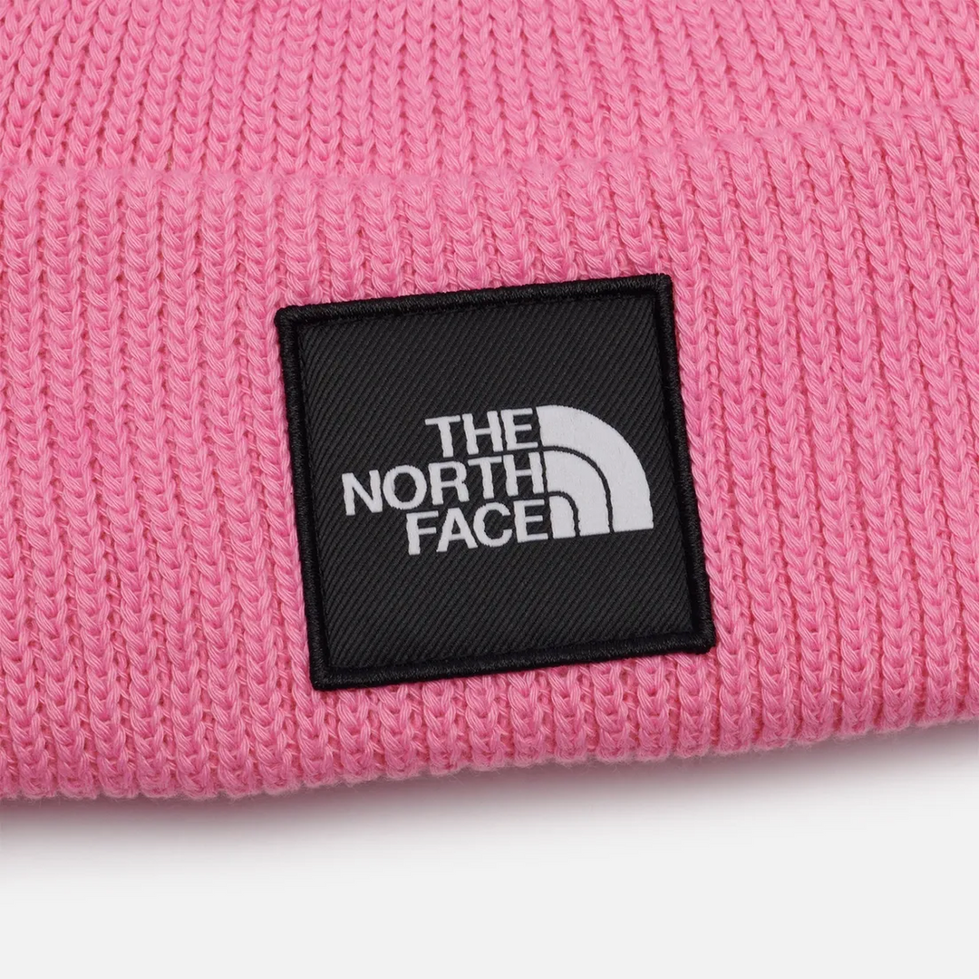 The North Face Explore Beanie