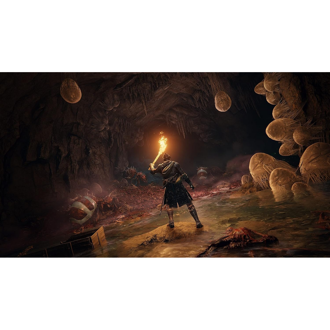 Elden Ring fantasy action-RPG for PlayStation 5