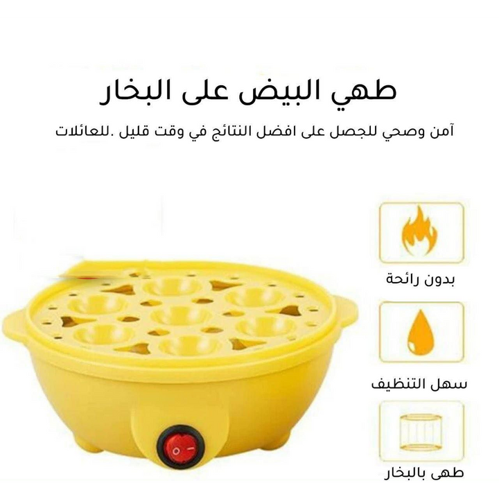 Electric Egg Boiler