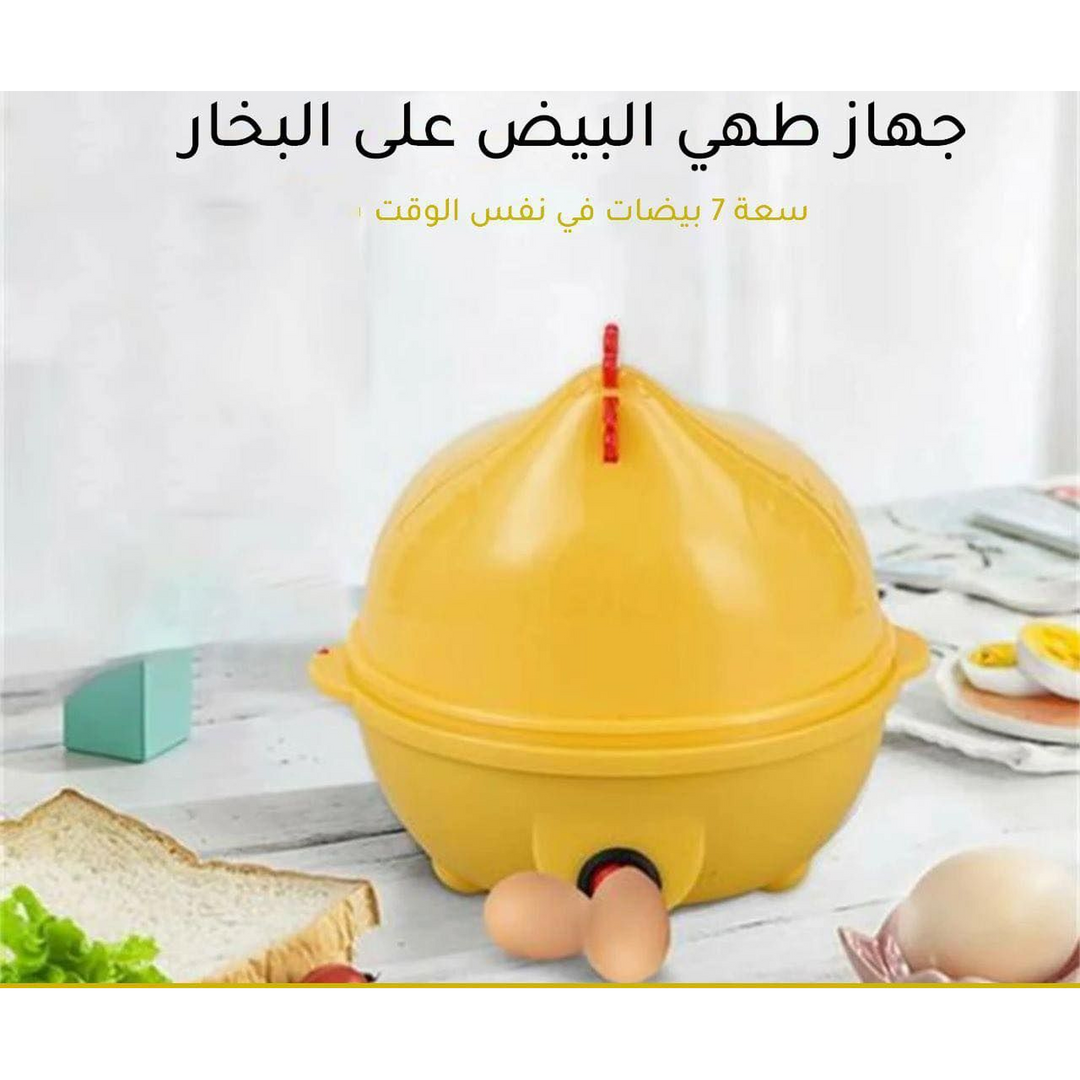 Electric Egg Boiler