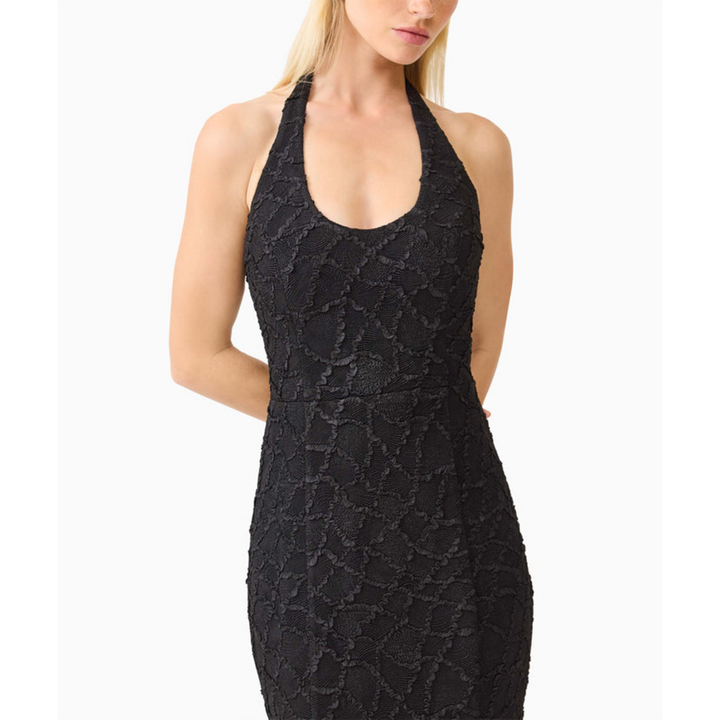 Elliatt Alexandra Halter Gown Dress in Black