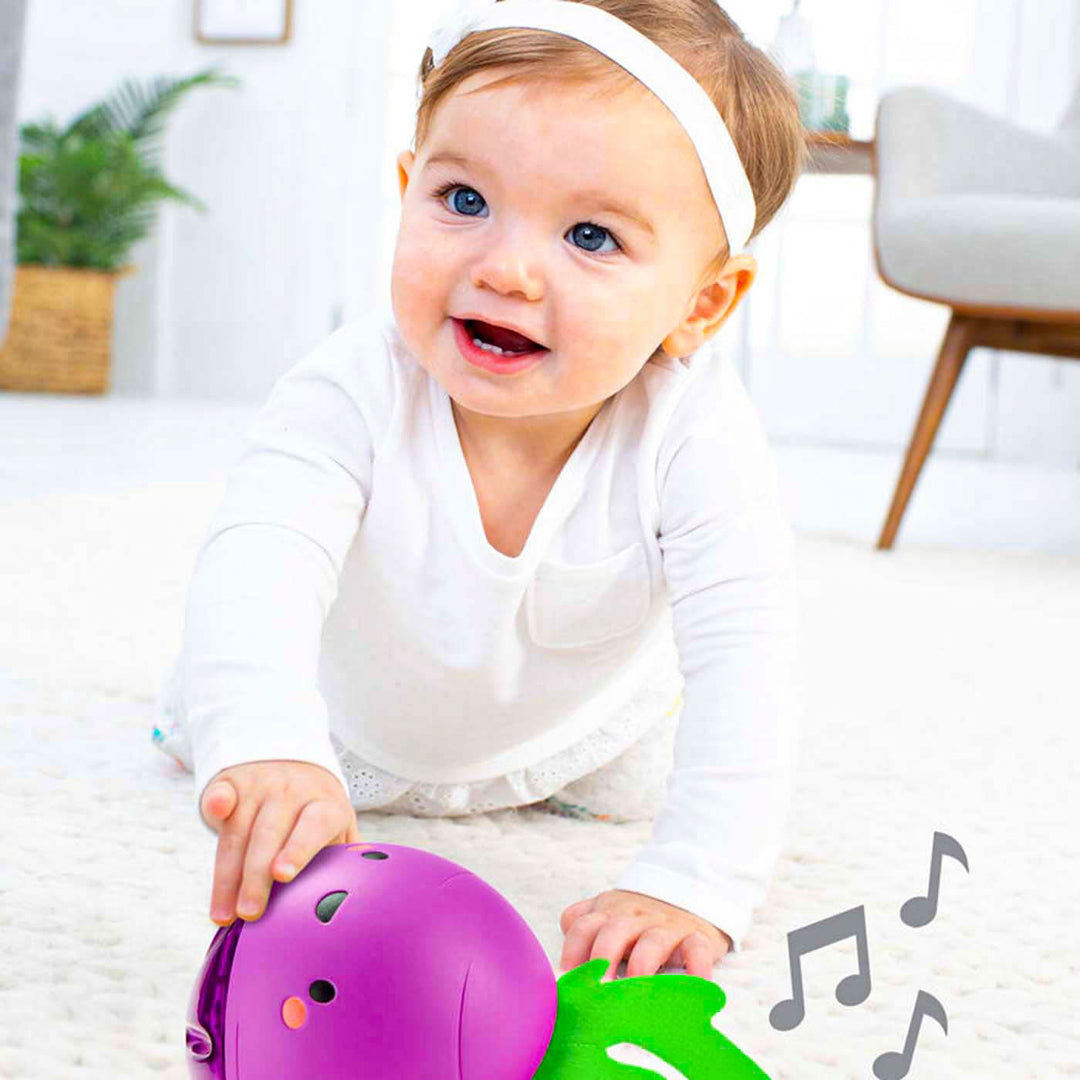Skip Hop Farmstand Beetbox Crawl Ball Toy