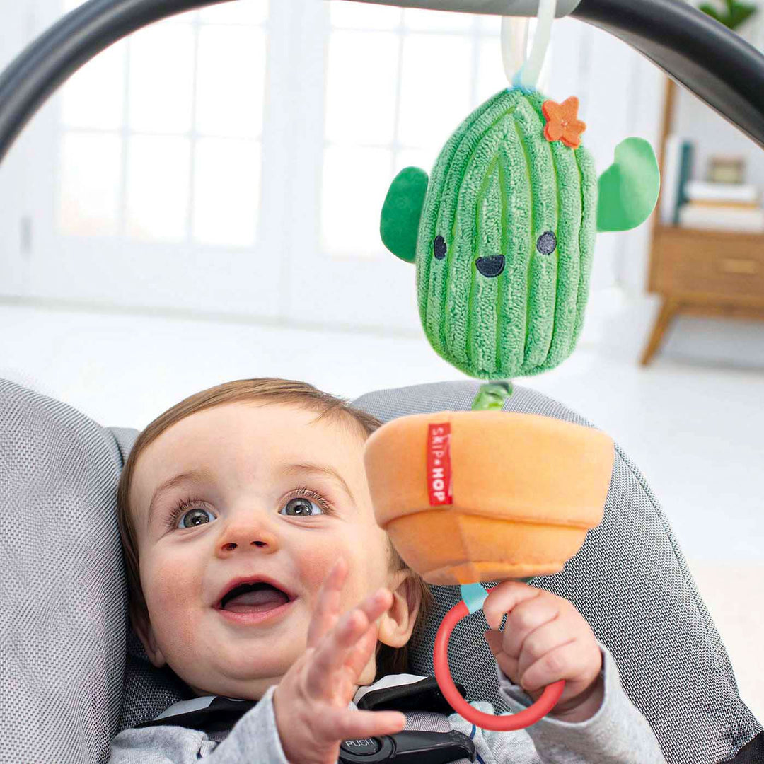 Skip Hop Jitter Toy
