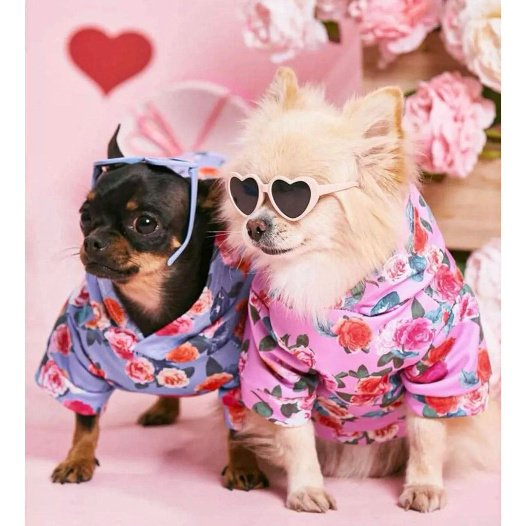 Pet Village Fashion Heart Glasses