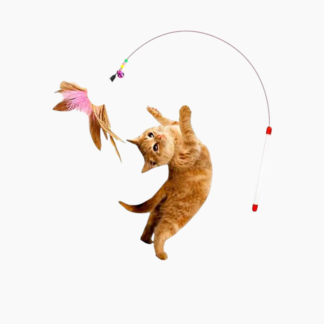Pet Village Feather Decor Cat Teaser Stick