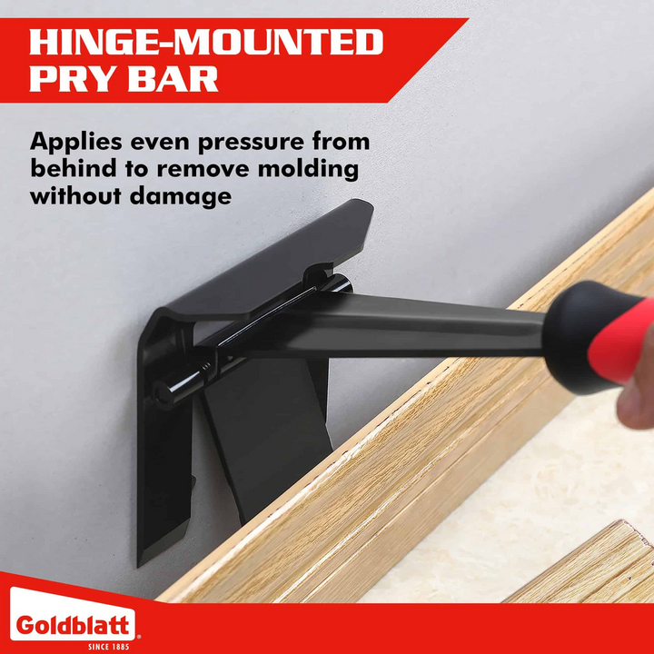 Goldblatt Molding Remover